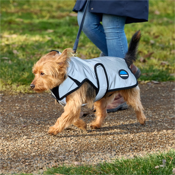 2025 Weatherbeeta Chaqueta Para Perro Reflectante Y Resistente Al Agua Comfitec 1029047 - Silver